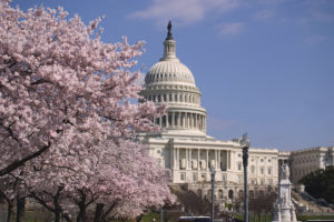 Bolster Your Emergency Preparedness Efforts with Security Guards in Washington, D.C.